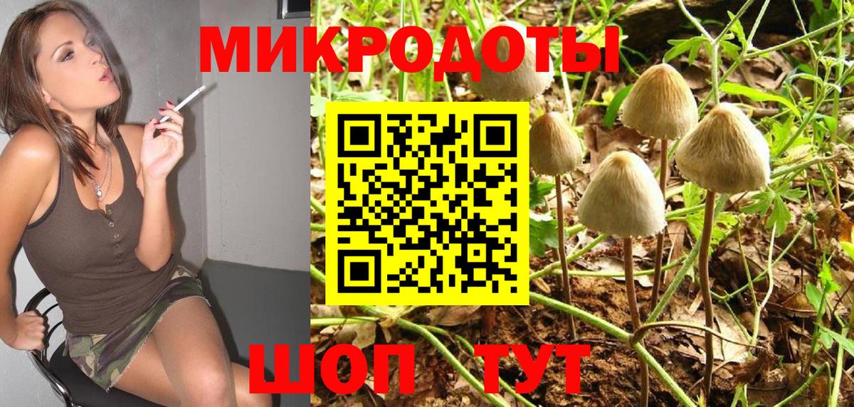 Псилоцибиновые грибы прущие грибы  Вход с VPN  Псилоцибиновые грибы Psilocybe  Строитель 