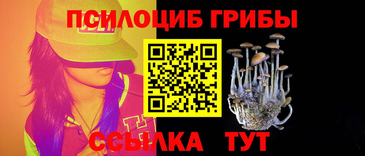 Галлюциногенные грибы MAGIC MUSHROOMS Строитель